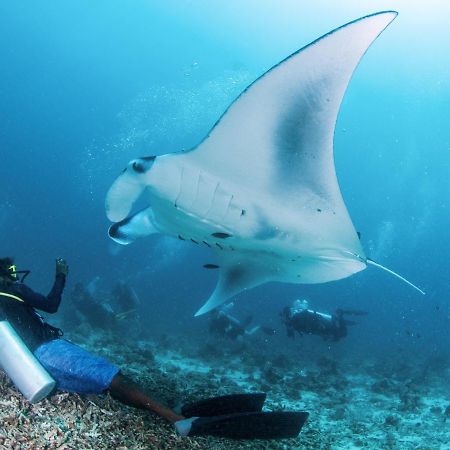 South Ari Dive Center Ξενοδοχείο Dhangethi Εξωτερικό φωτογραφία