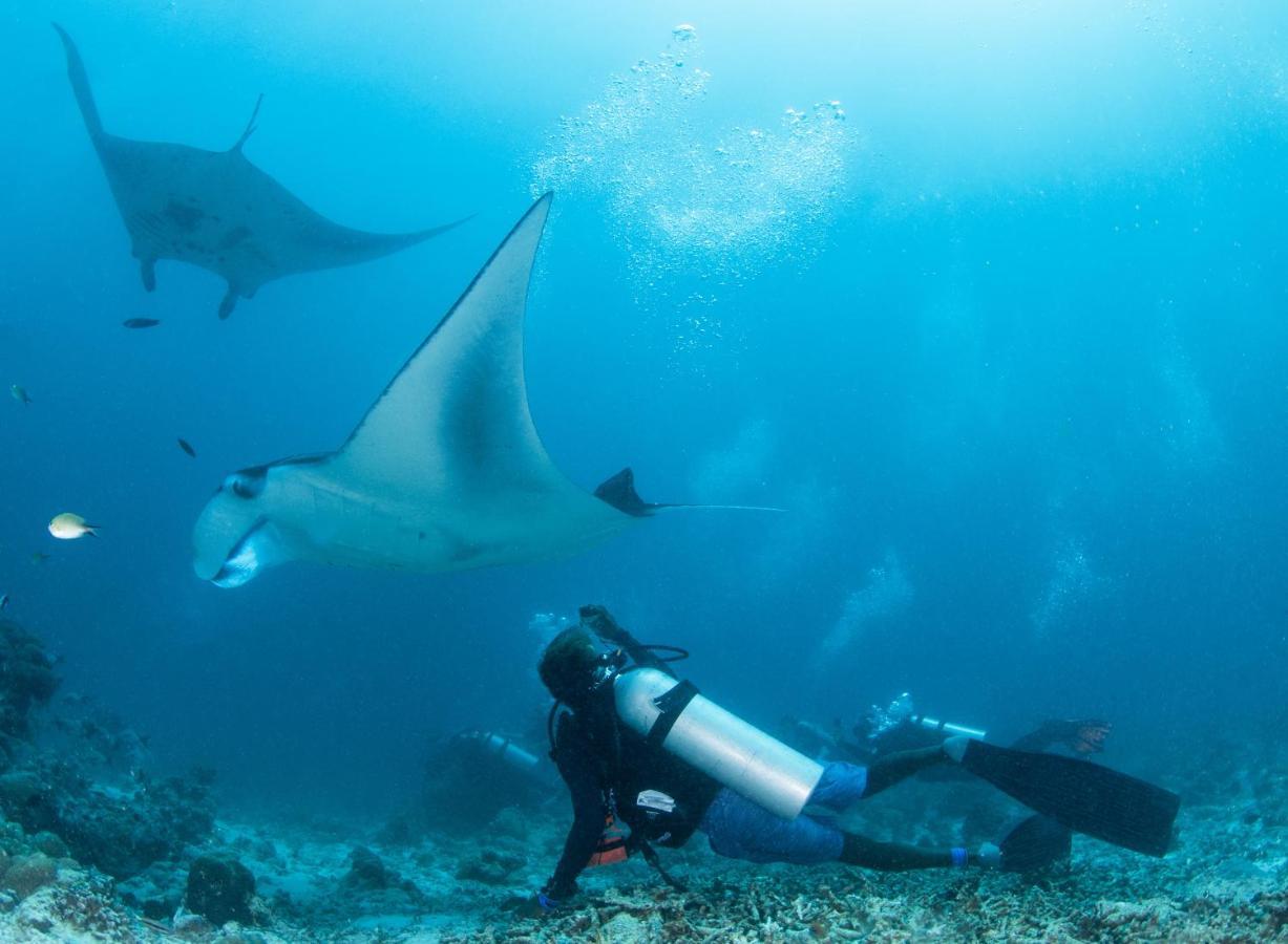 South Ari Dive Center Ξενοδοχείο Dhangethi Εξωτερικό φωτογραφία