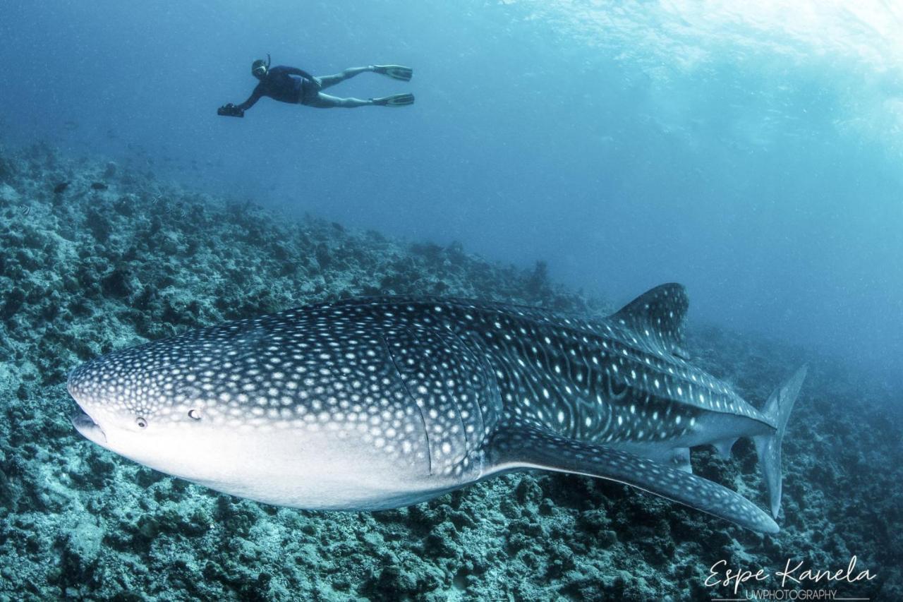 South Ari Dive Center Ξενοδοχείο Dhangethi Εξωτερικό φωτογραφία