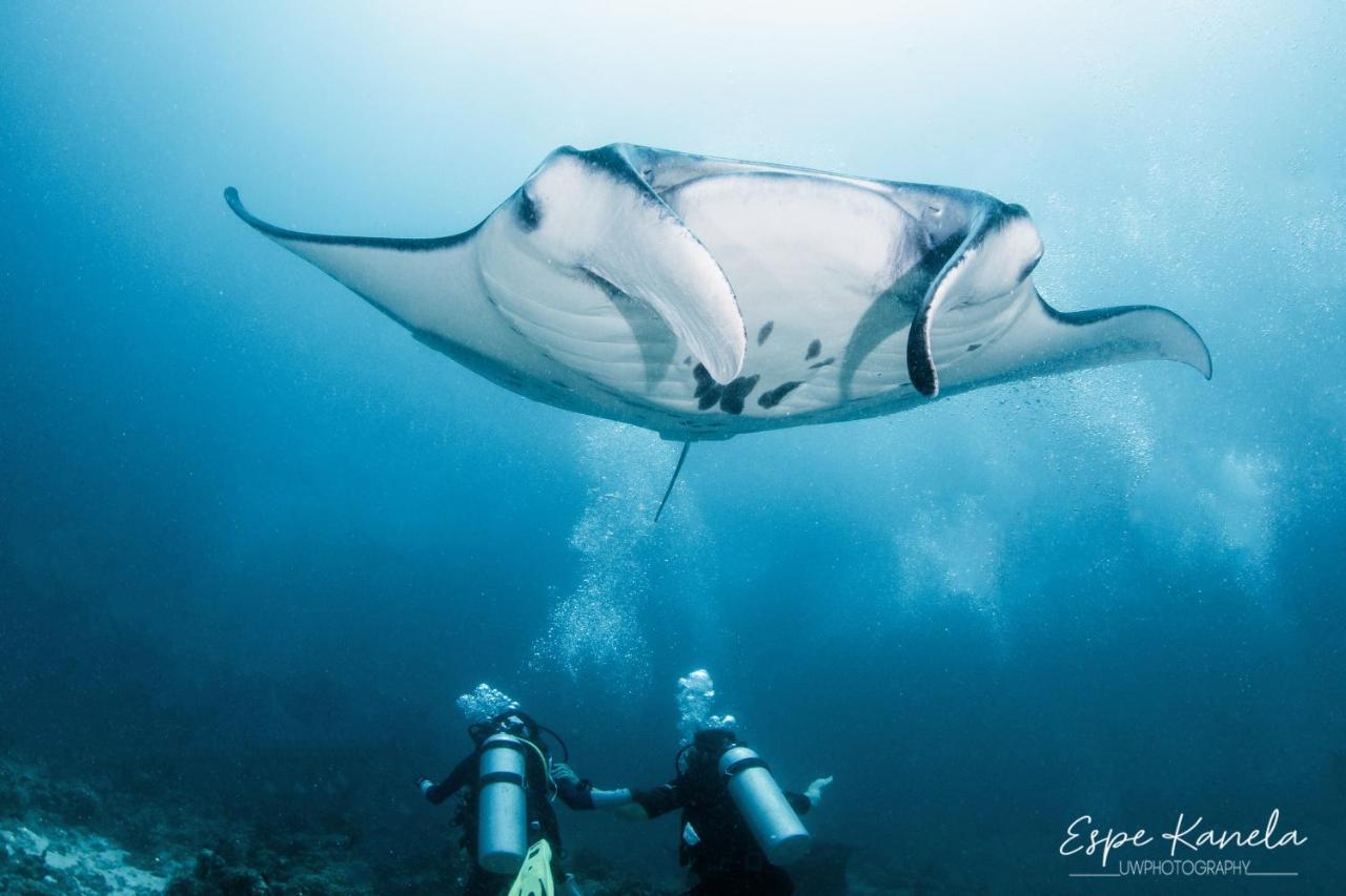 South Ari Dive Center Ξενοδοχείο Dhangethi Εξωτερικό φωτογραφία