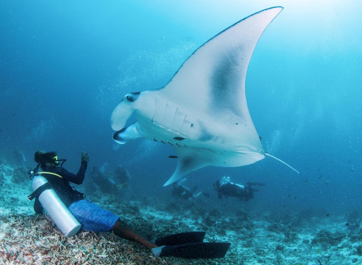 South Ari Dive Center Ξενοδοχείο Dhangethi Εξωτερικό φωτογραφία