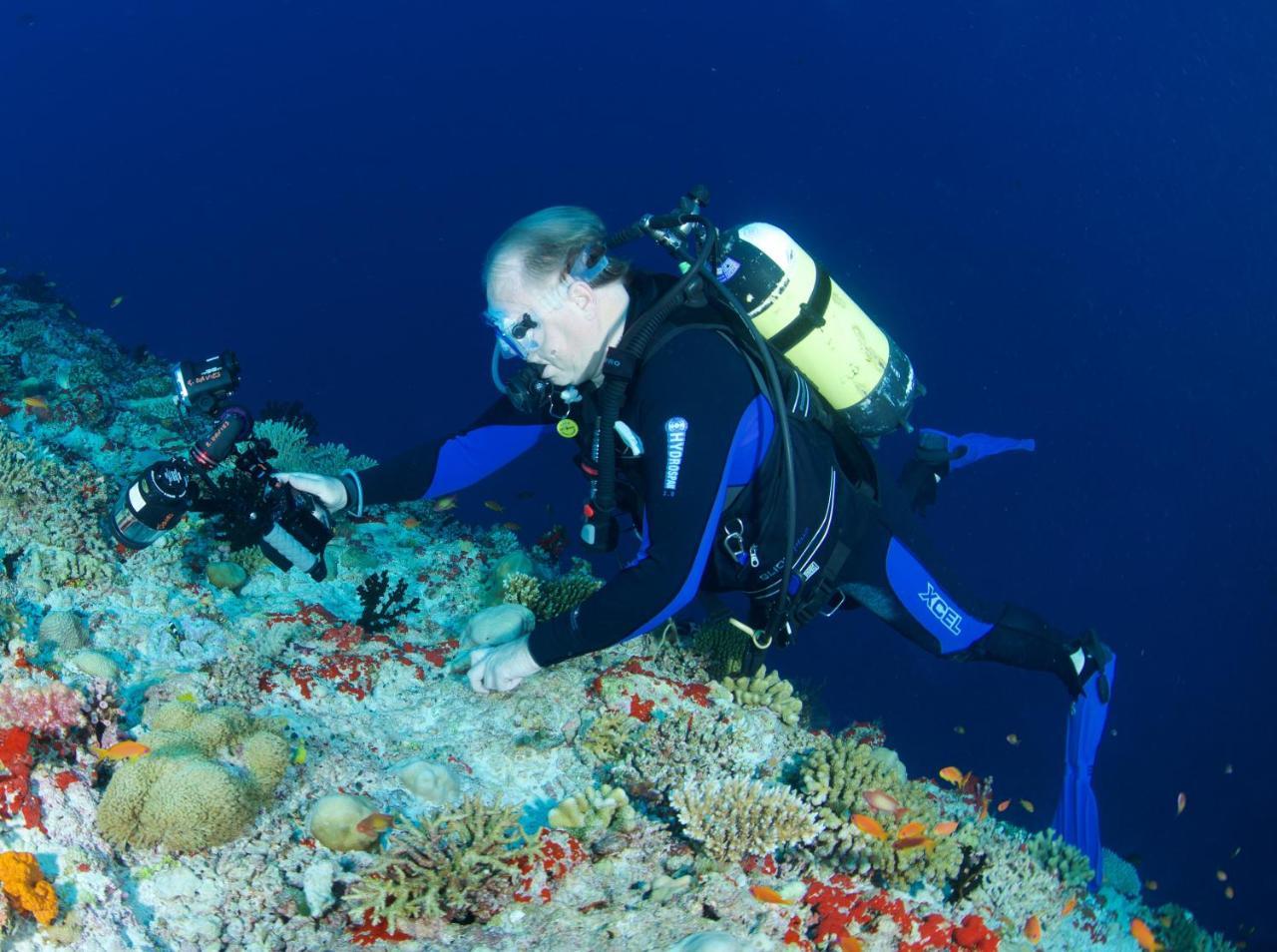 South Ari Dive Center Ξενοδοχείο Dhangethi Εξωτερικό φωτογραφία