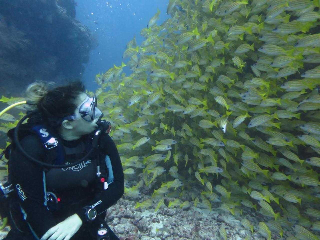 South Ari Dive Center Ξενοδοχείο Dhangethi Εξωτερικό φωτογραφία