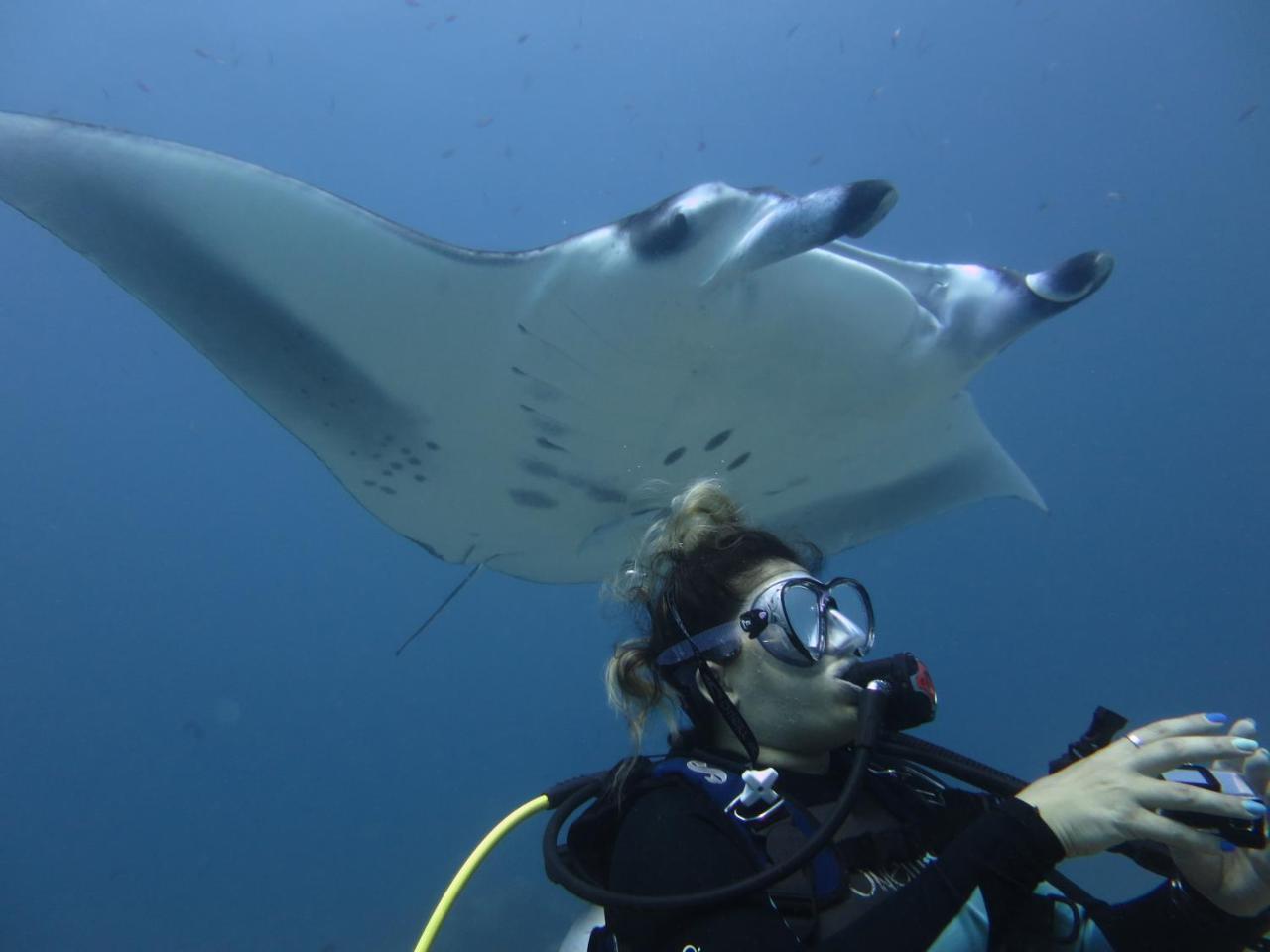 South Ari Dive Center Ξενοδοχείο Dhangethi Εξωτερικό φωτογραφία