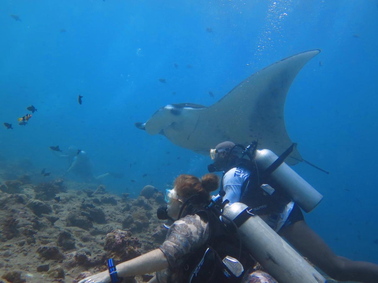 South Ari Dive Center Ξενοδοχείο Dhangethi Εξωτερικό φωτογραφία