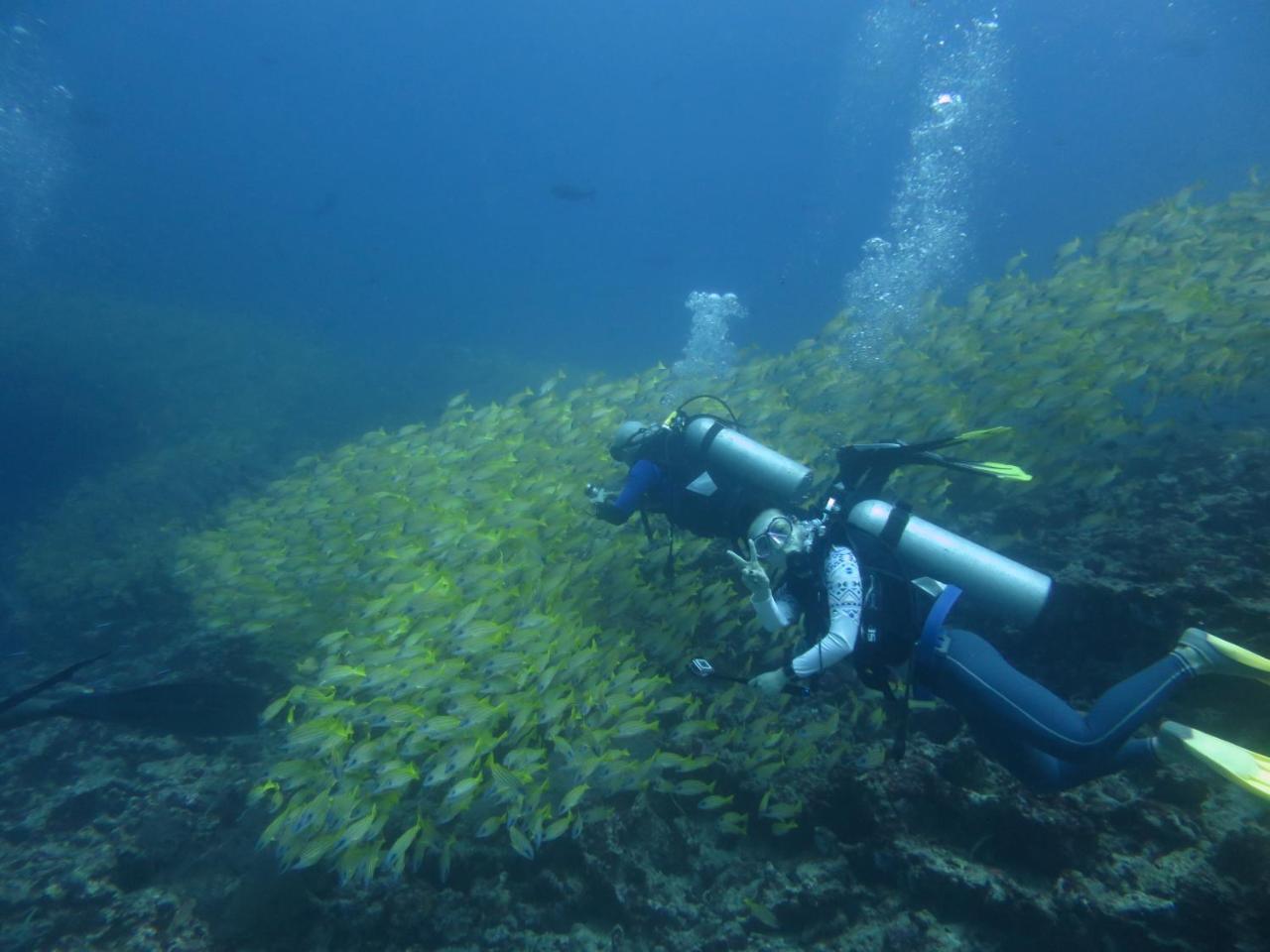 South Ari Dive Center Ξενοδοχείο Dhangethi Εξωτερικό φωτογραφία