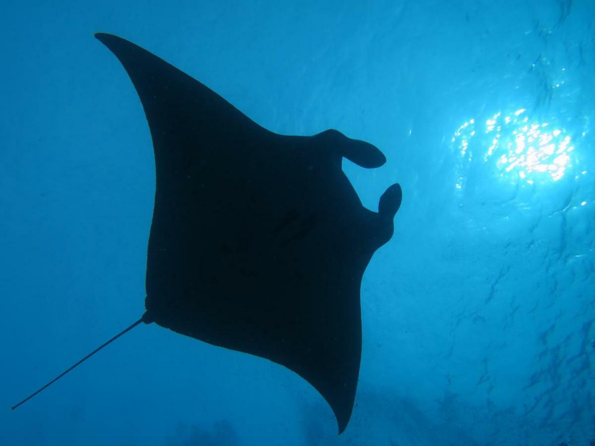 South Ari Dive Center Ξενοδοχείο Dhangethi Εξωτερικό φωτογραφία