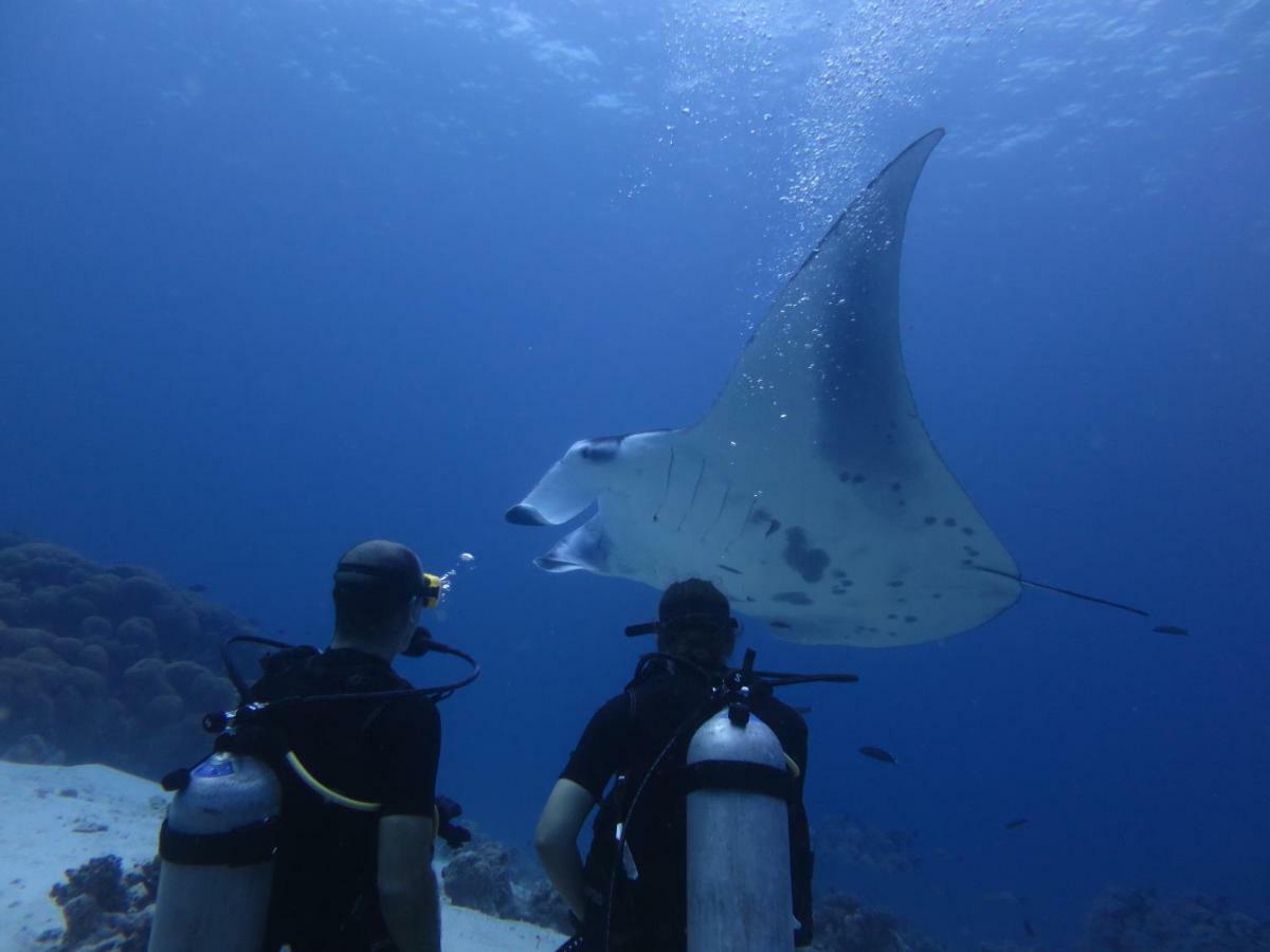 South Ari Dive Center Ξενοδοχείο Dhangethi Εξωτερικό φωτογραφία