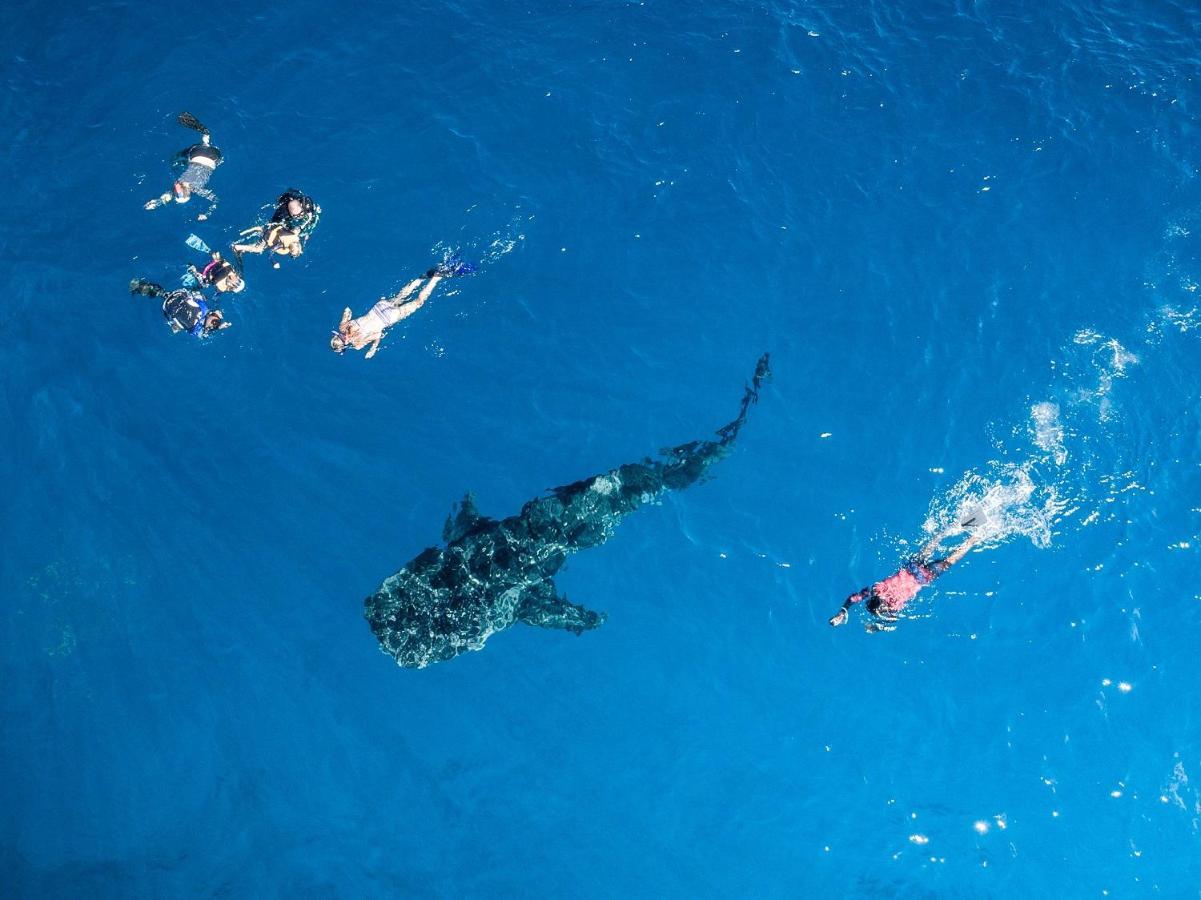 South Ari Dive Center Ξενοδοχείο Dhangethi Εξωτερικό φωτογραφία