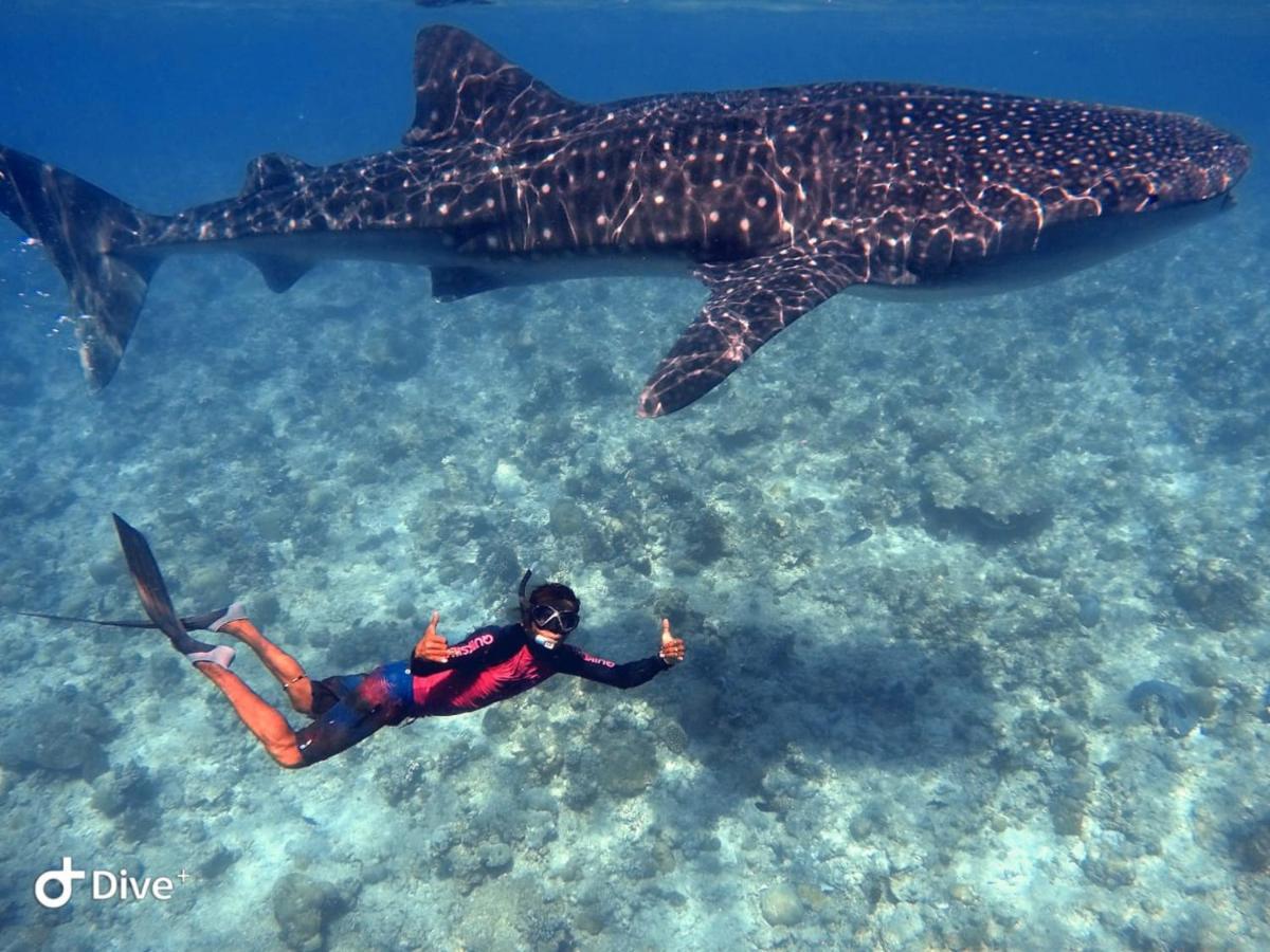 South Ari Dive Center Ξενοδοχείο Dhangethi Εξωτερικό φωτογραφία